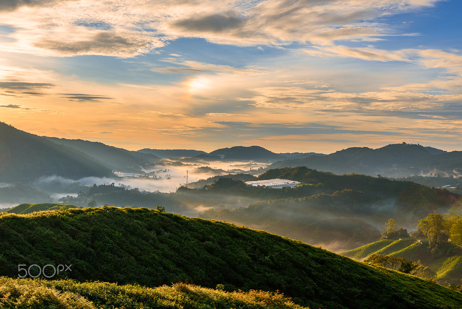Tamron SP 24-70mm F2.8 Di VC USD sample photo. Cameron sunrise photography