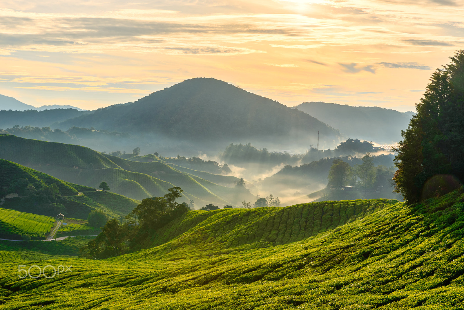 Nikon D750 sample photo. Misty morning valley photography