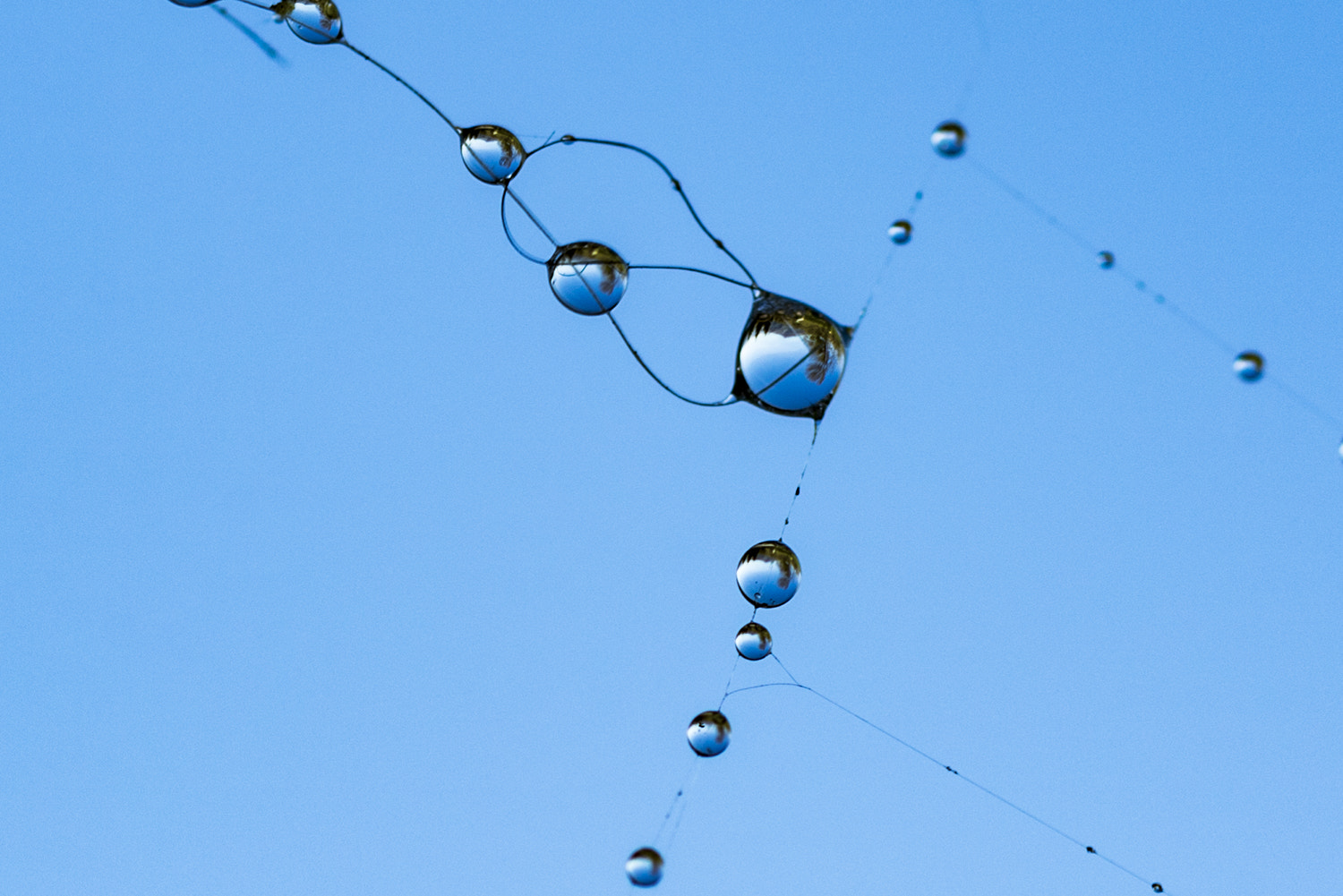 Sigma 105mm F2.8 EX DG OS HSM sample photo. Gocce photography