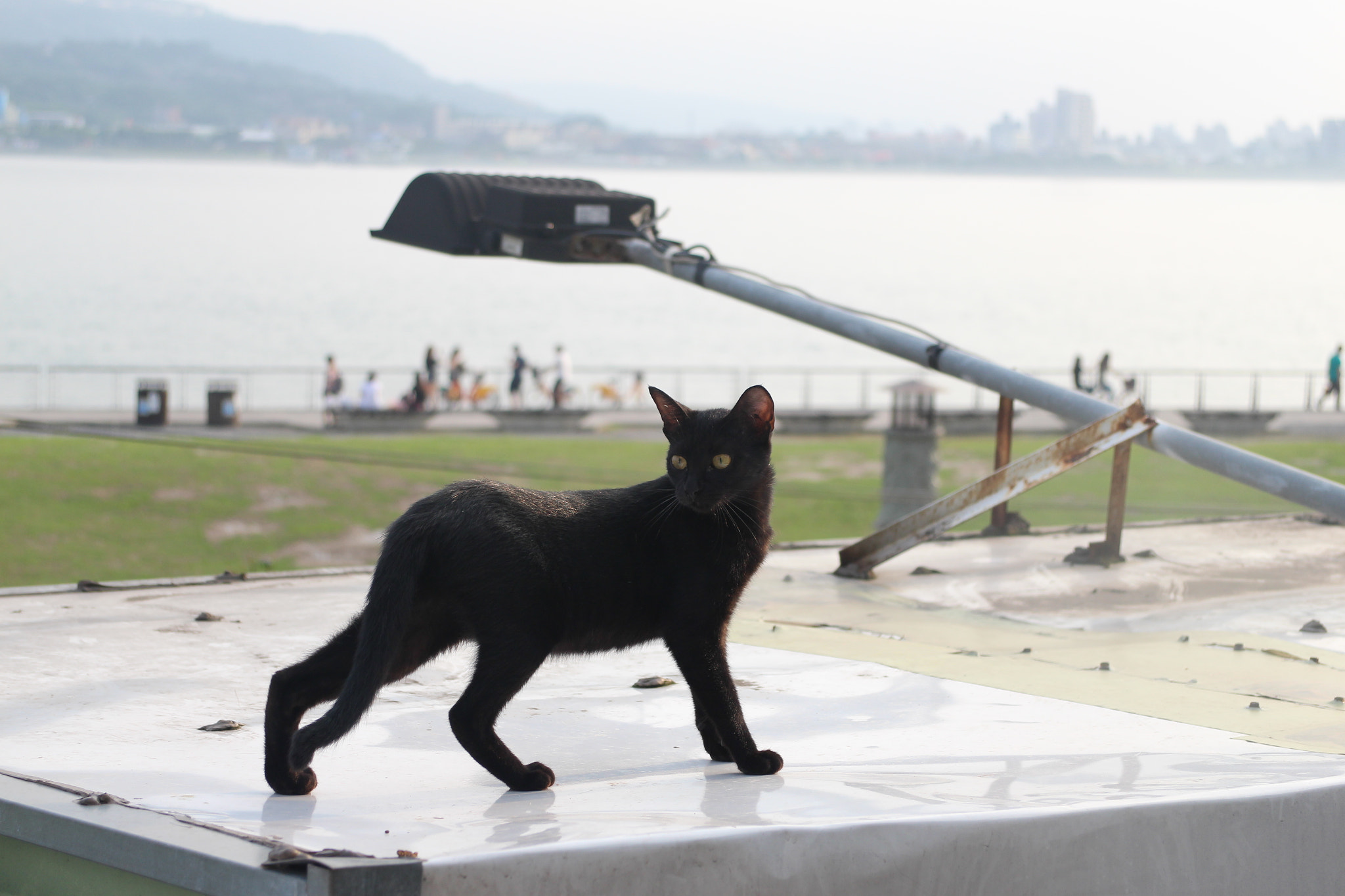 Canon EOS M2 sample photo. Img photography
