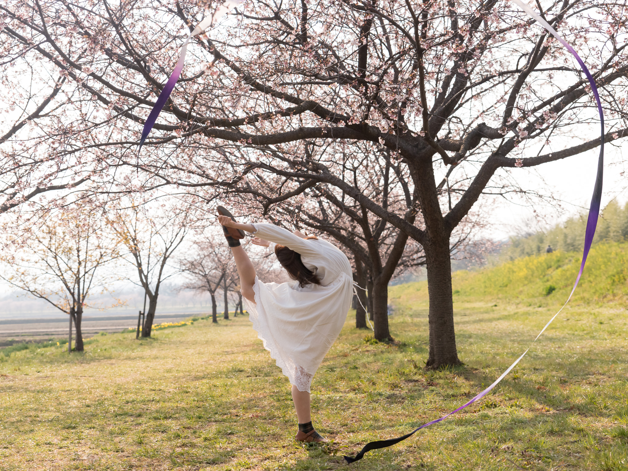 Nikon D800 + Tamron SP 24-70mm F2.8 Di VC USD sample photo. Fairy of spring photography