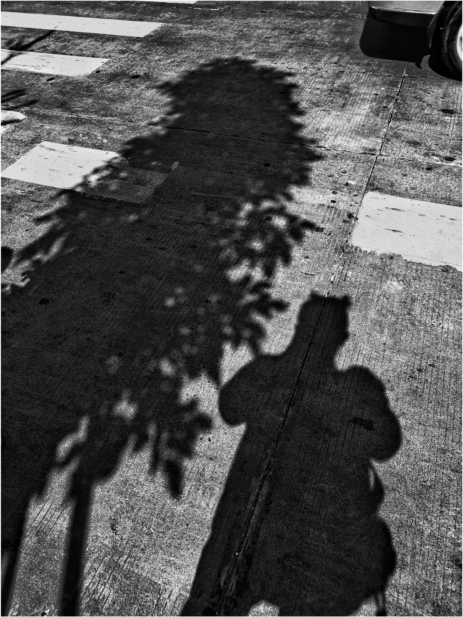 HUAWEI Honor V8 sample photo. Shadow photography
