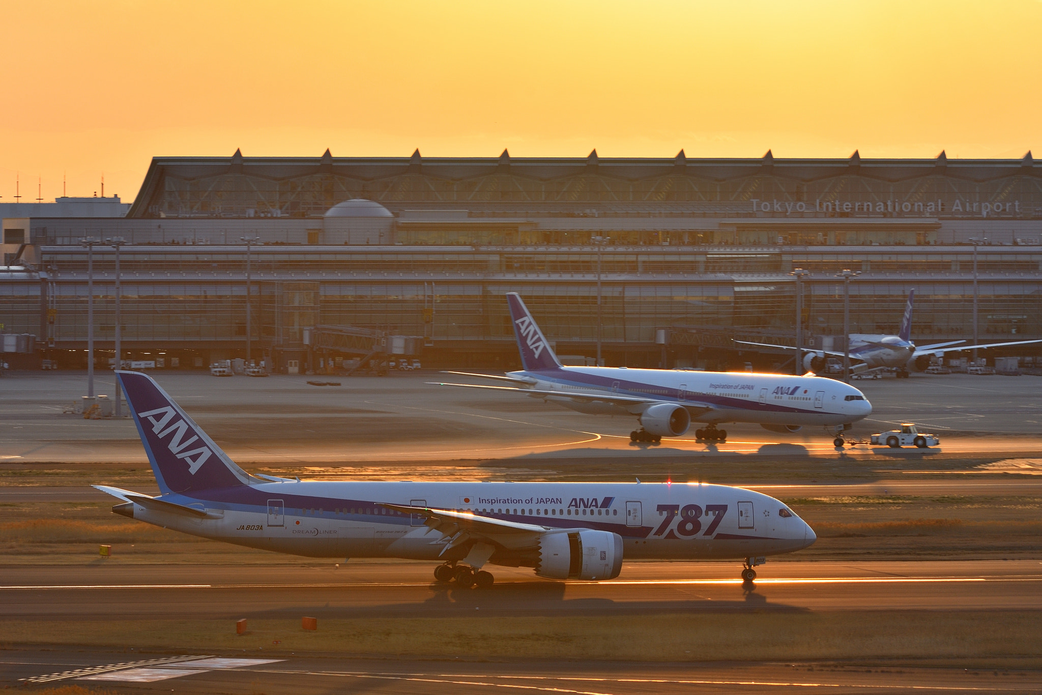 Nikon AF-S Nikkor 70-200mm F2.8G ED VR II sample photo. Landed photography