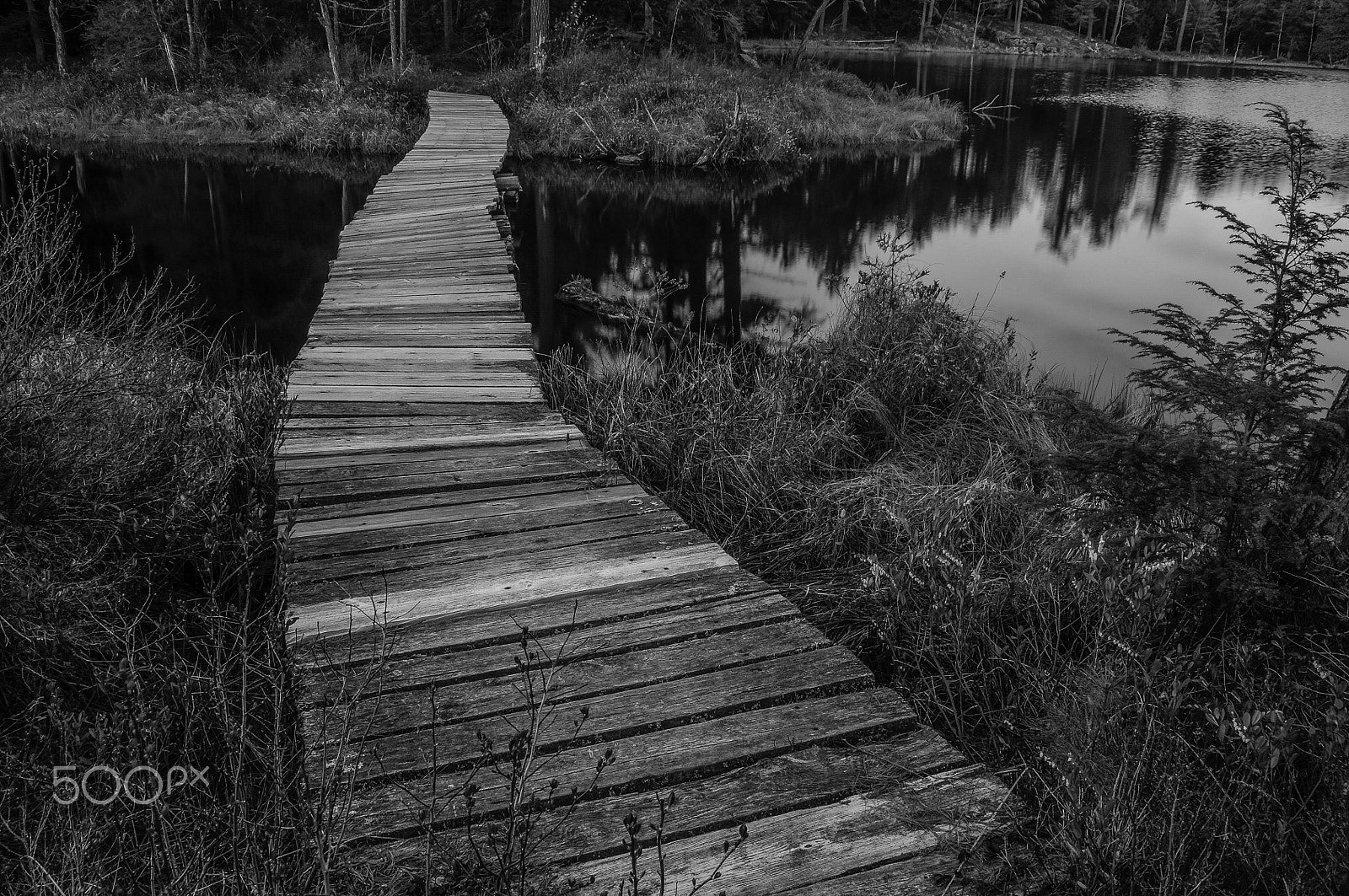 Nikon D90 sample photo. Little rock pond photography