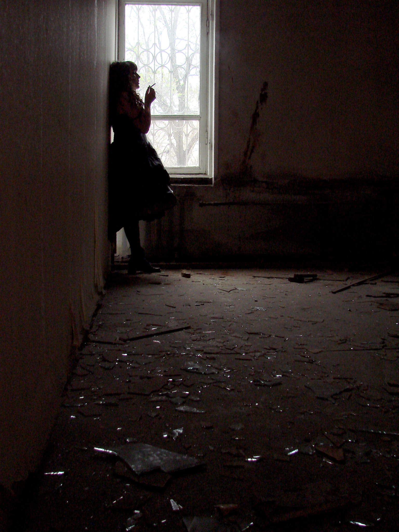 Sony DSC-H5 sample photo. Shards photography
