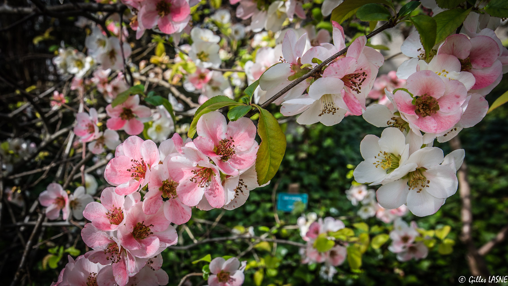 Nikon D750 + Tamron SP 15-30mm F2.8 Di VC USD sample photo. Dsc photography