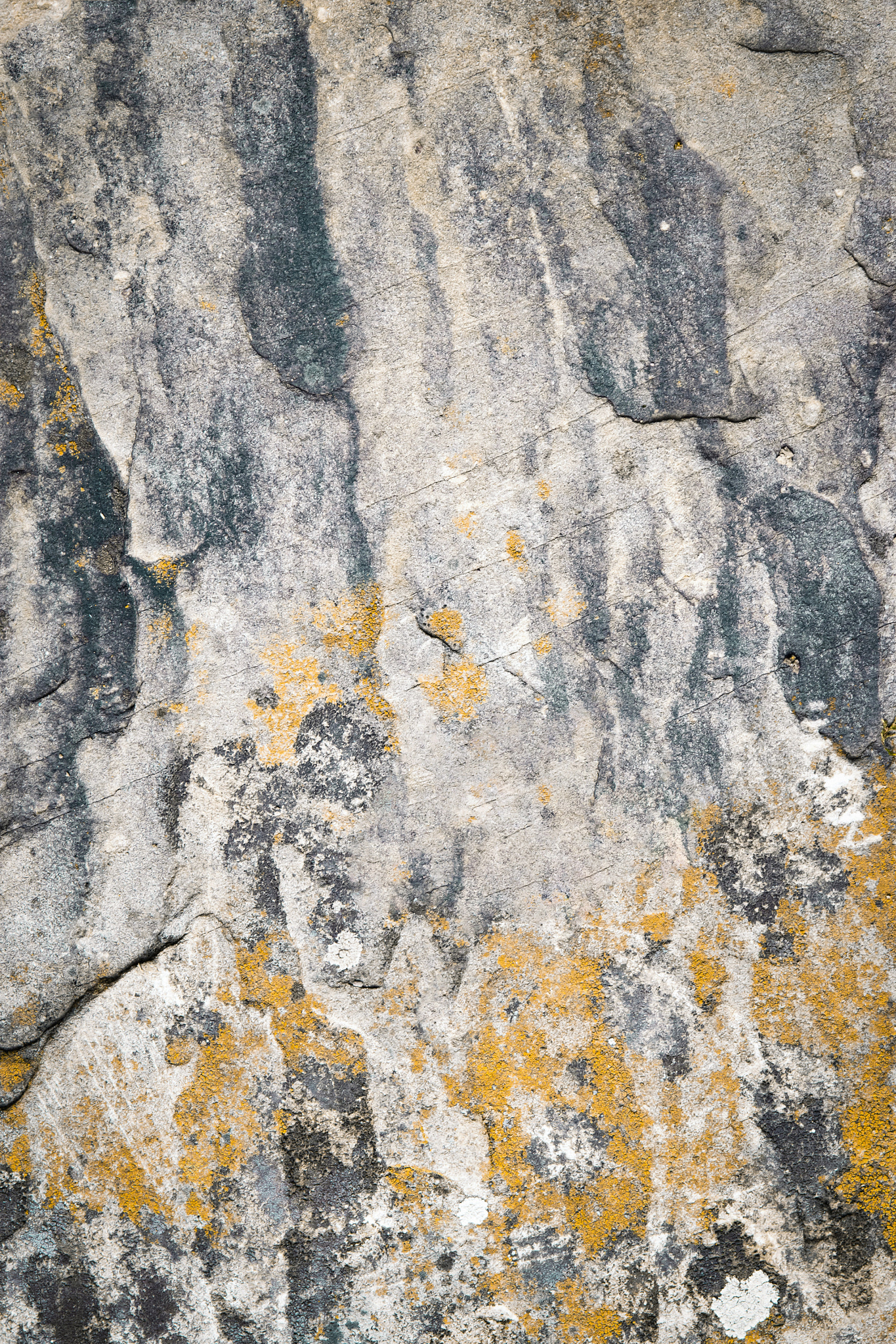 Nikon D5500 sample photo. Abstract texture old plaster photography