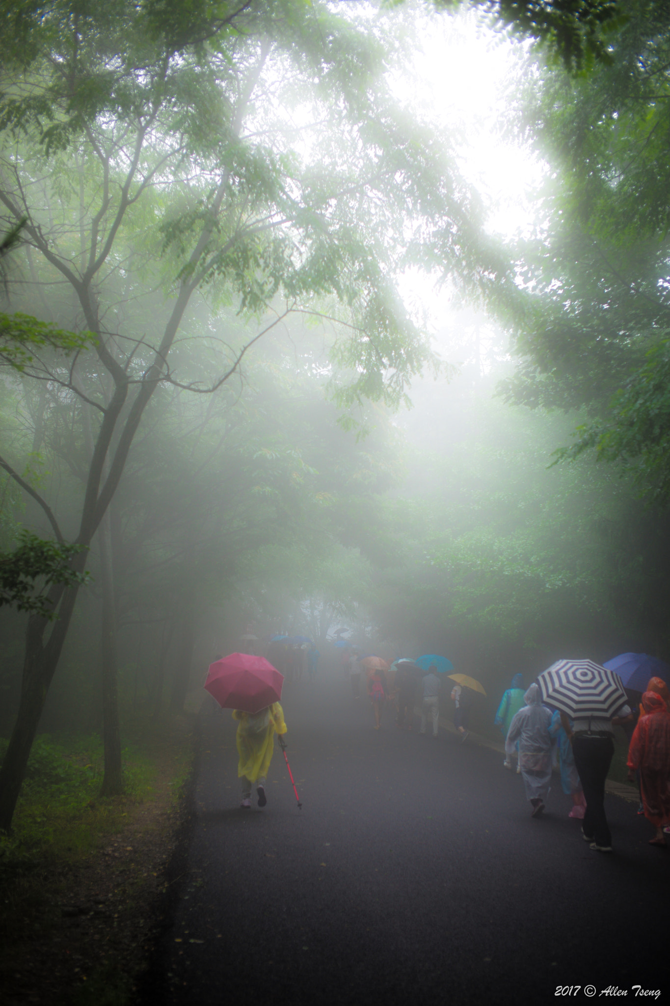 Summicron-M 1:2/35 ASPH. sample photo. Walking in the fairyland photography
