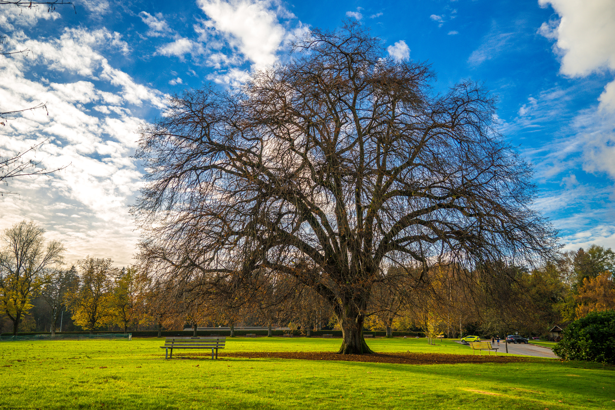 Sony a7 sample photo. Park scene photography