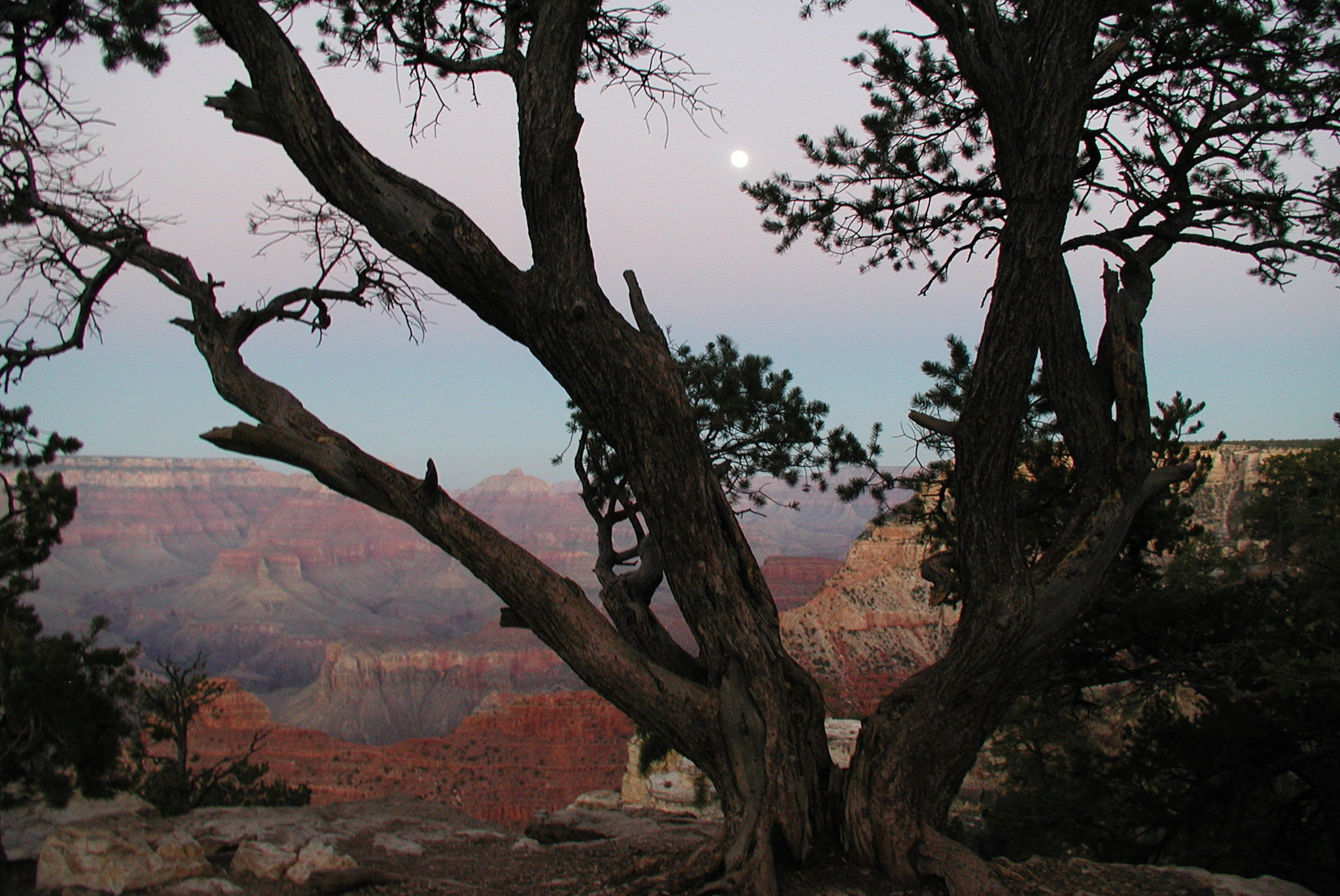 Olympus C3030Z sample photo. Usa, grand canyon photography