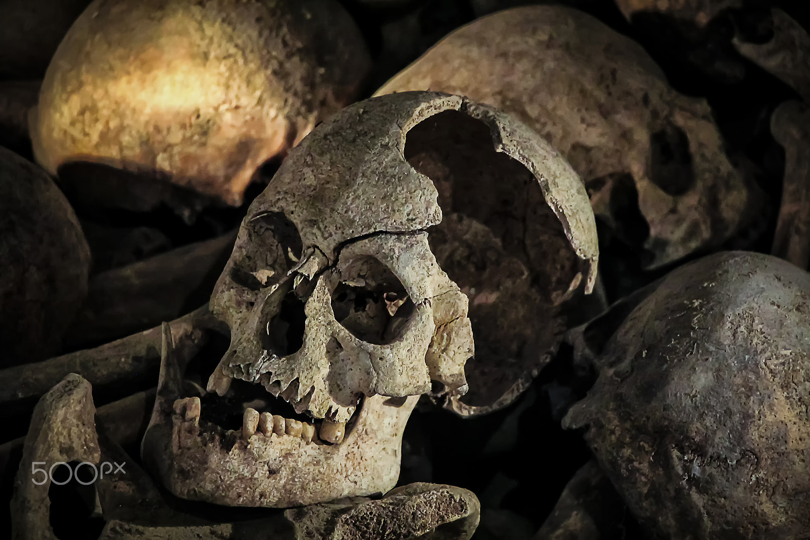 Canon EOS 600D (Rebel EOS T3i / EOS Kiss X5) sample photo. Scull in the crypt photography