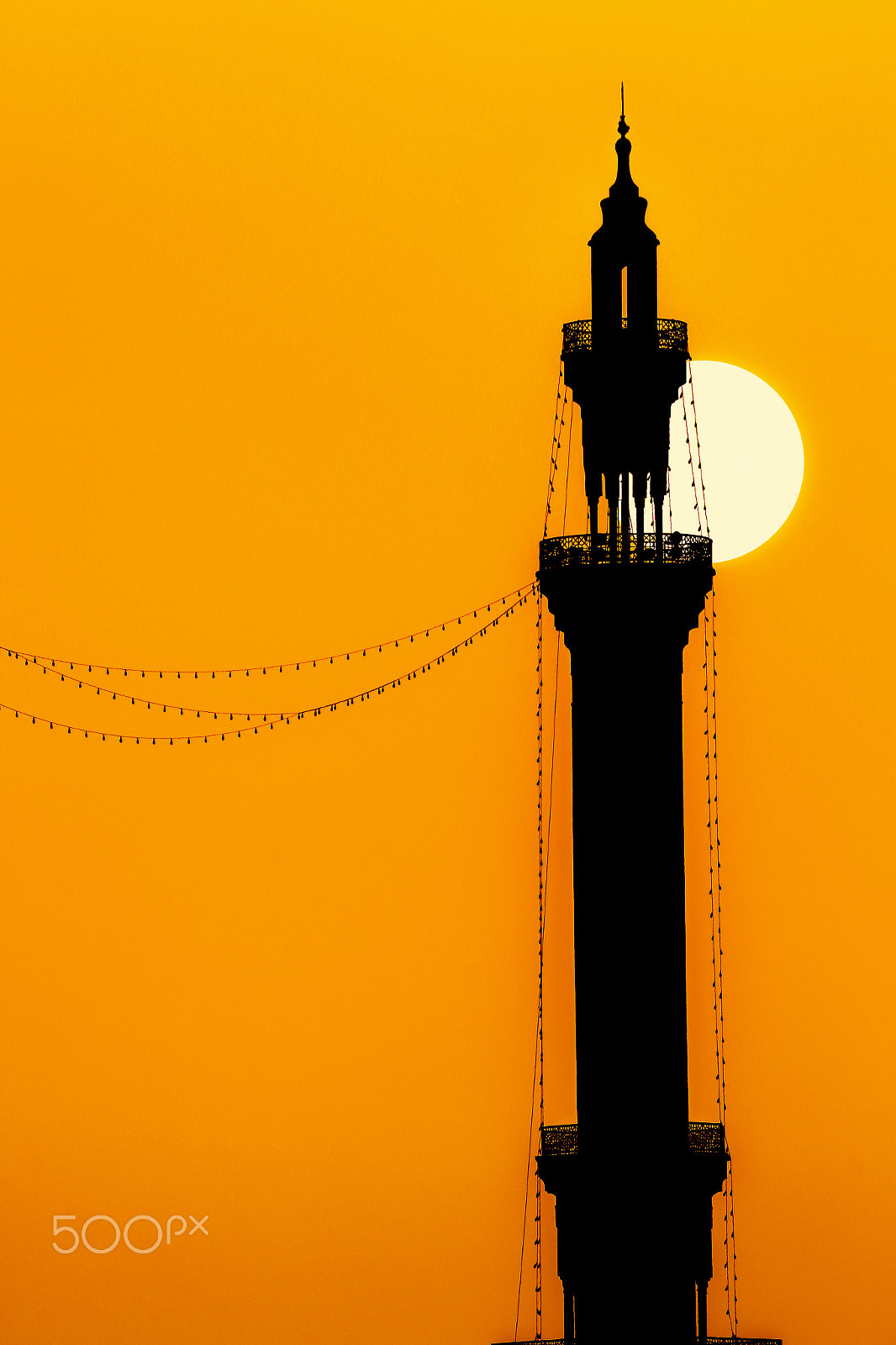 Canon EF-S 55-250mm F4-5.6 IS II sample photo. Bb# photography