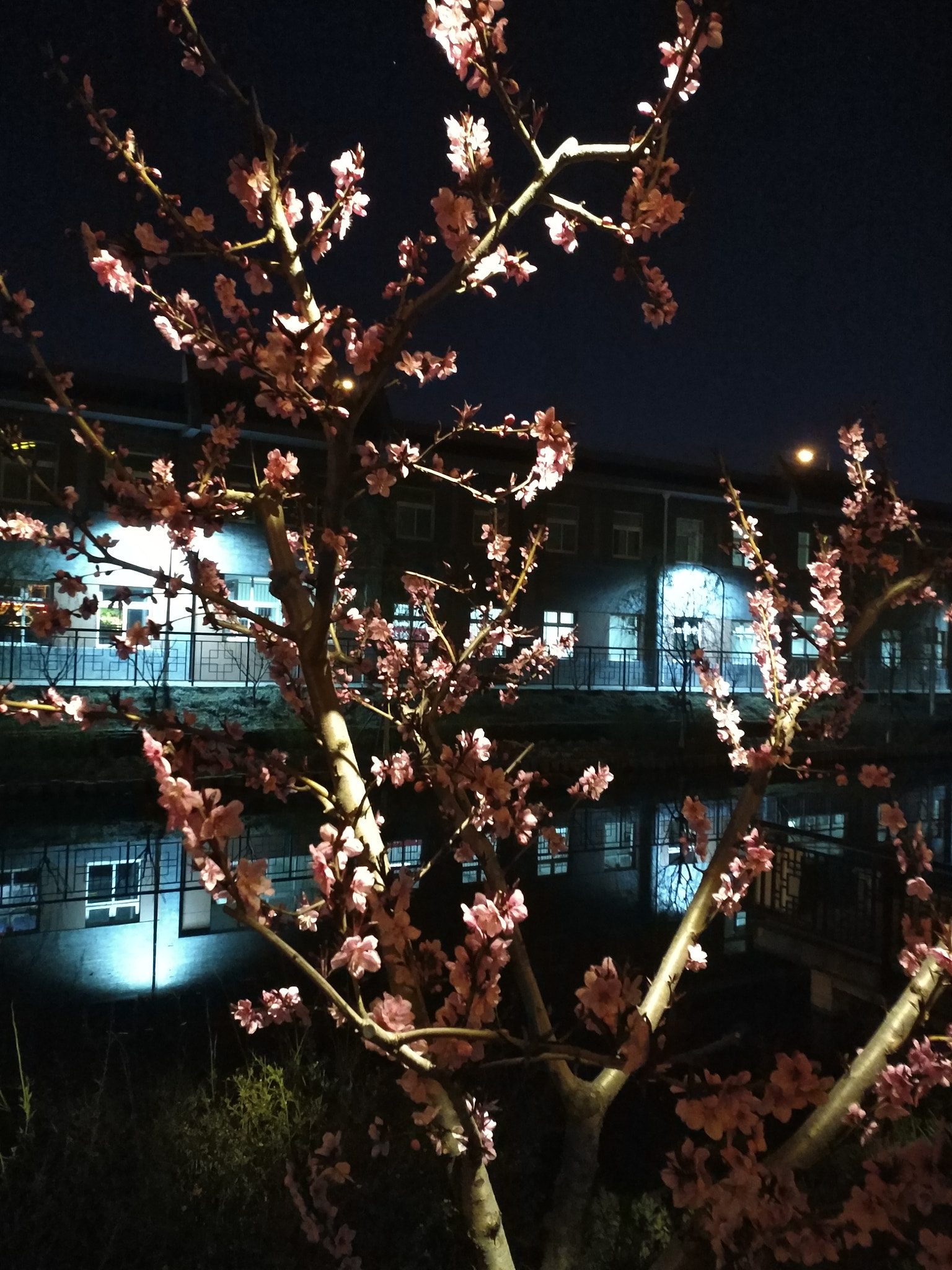 Xiaomi MI 5s Plus sample photo. 夜光 photography