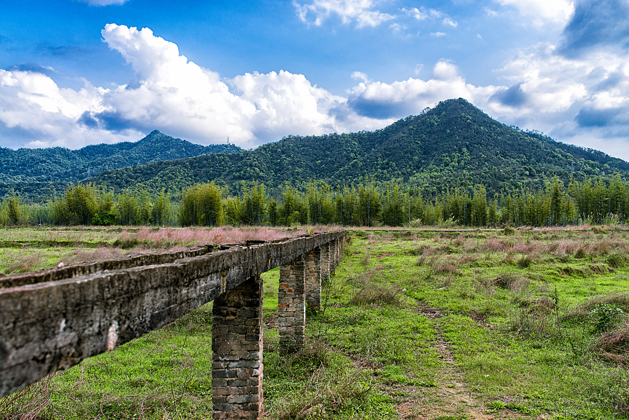 Nikon D800 + Sigma 35mm F1.4 DG HSM Art sample photo. 田间小路 photography