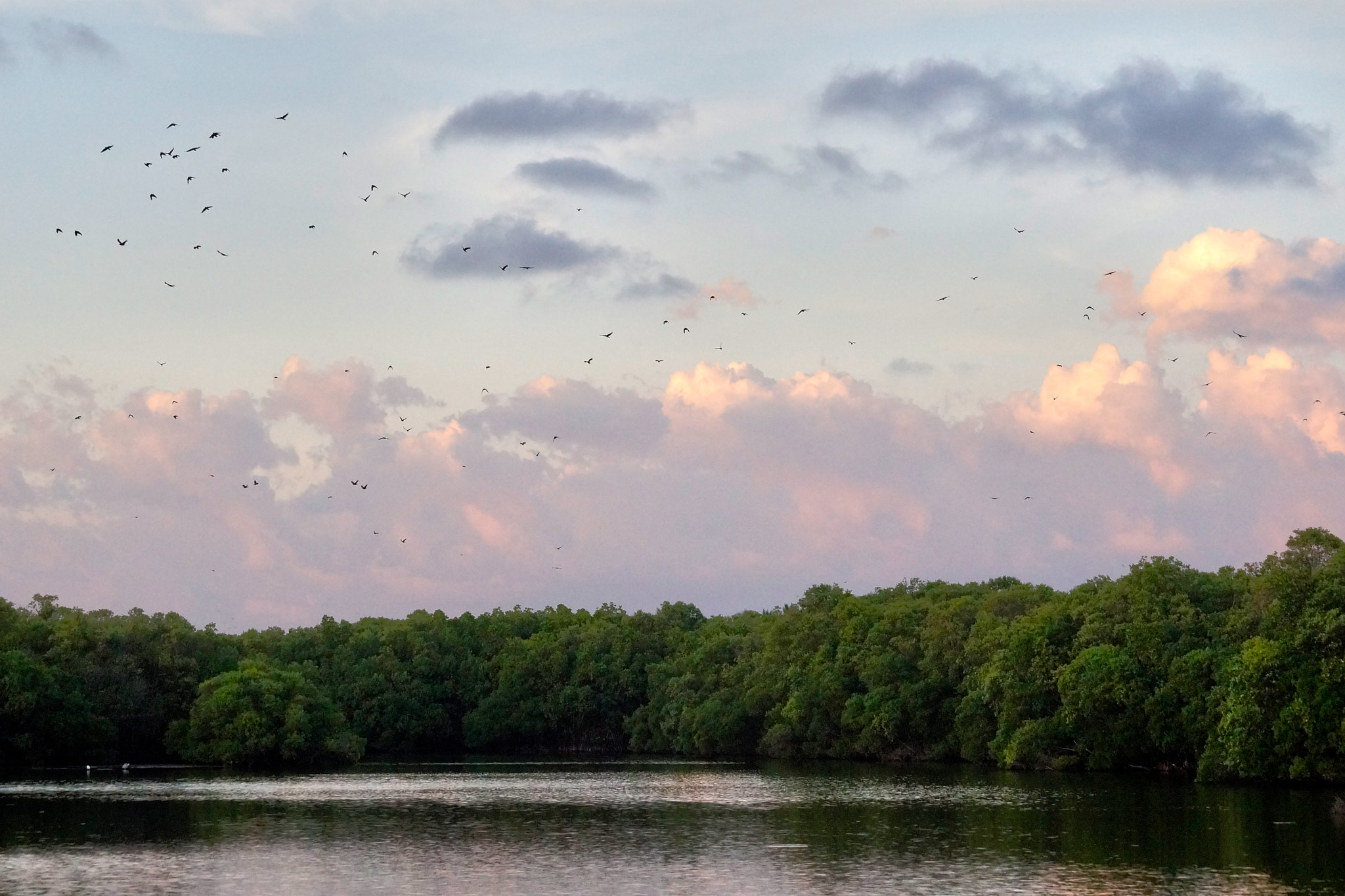 Sony a99 II + Sony DT 55-200mm F4-5.6 SAM sample photo. The blue and pink clounds in the sunset photography