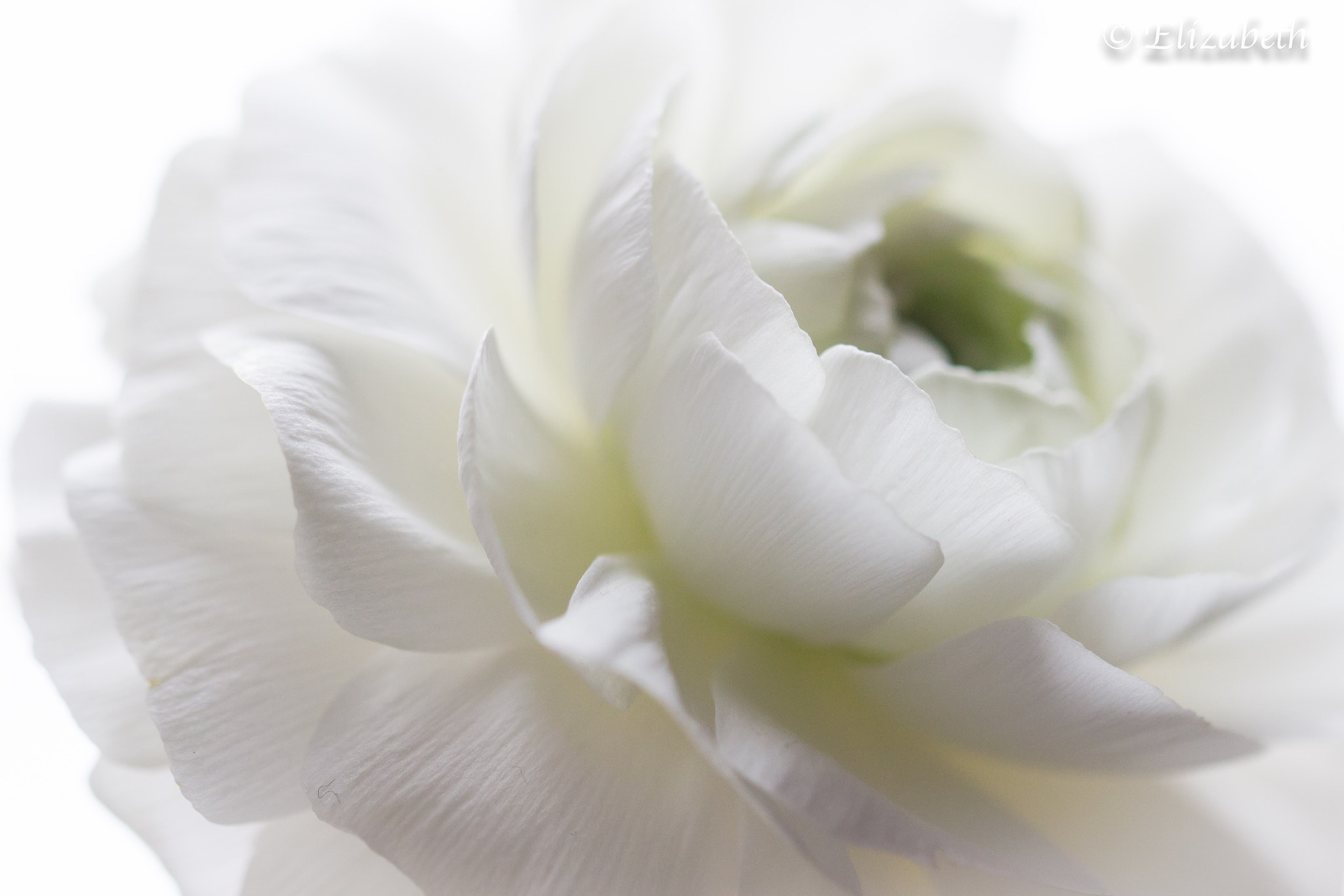 Sigma 105mm F2.8 EX DG OS HSM sample photo. White clouds  photography