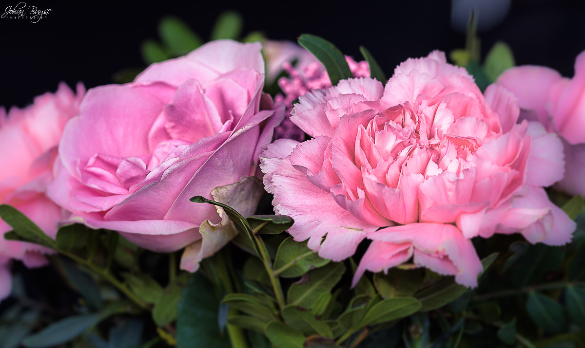 Sigma 105mm F2.8 EX DG OS HSM sample photo. Side by side photography