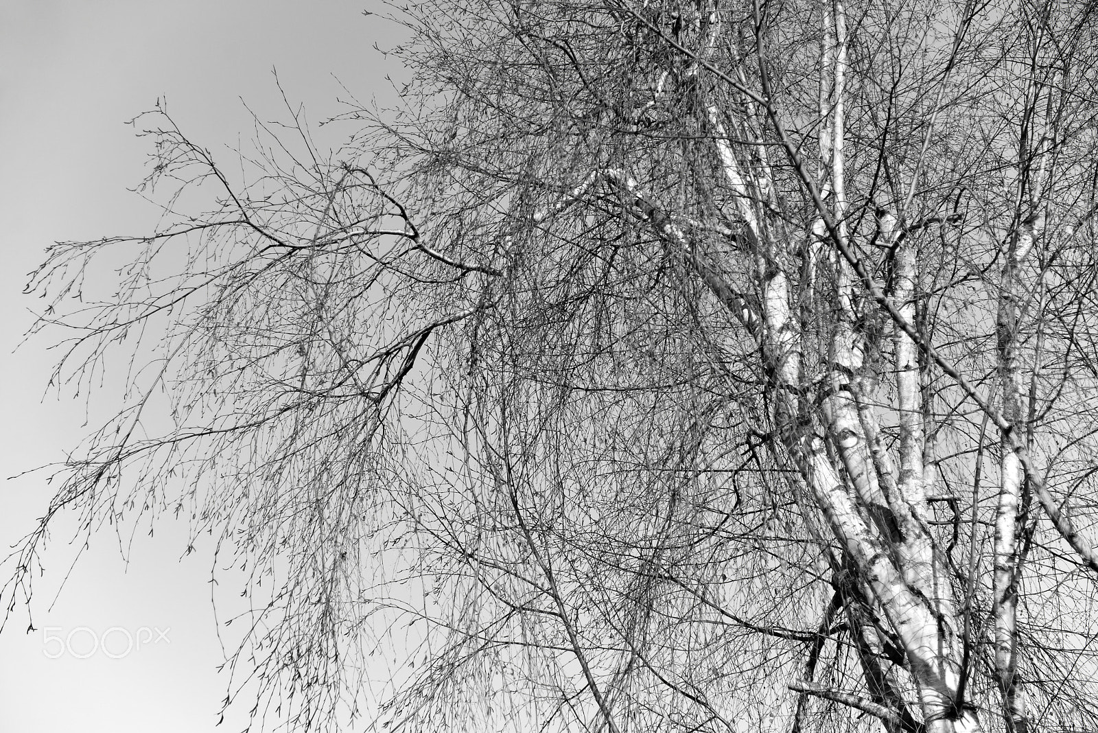 Nikon AF-S Nikkor 24-120mm F4G ED VR sample photo. Meaningful simplicity... photography