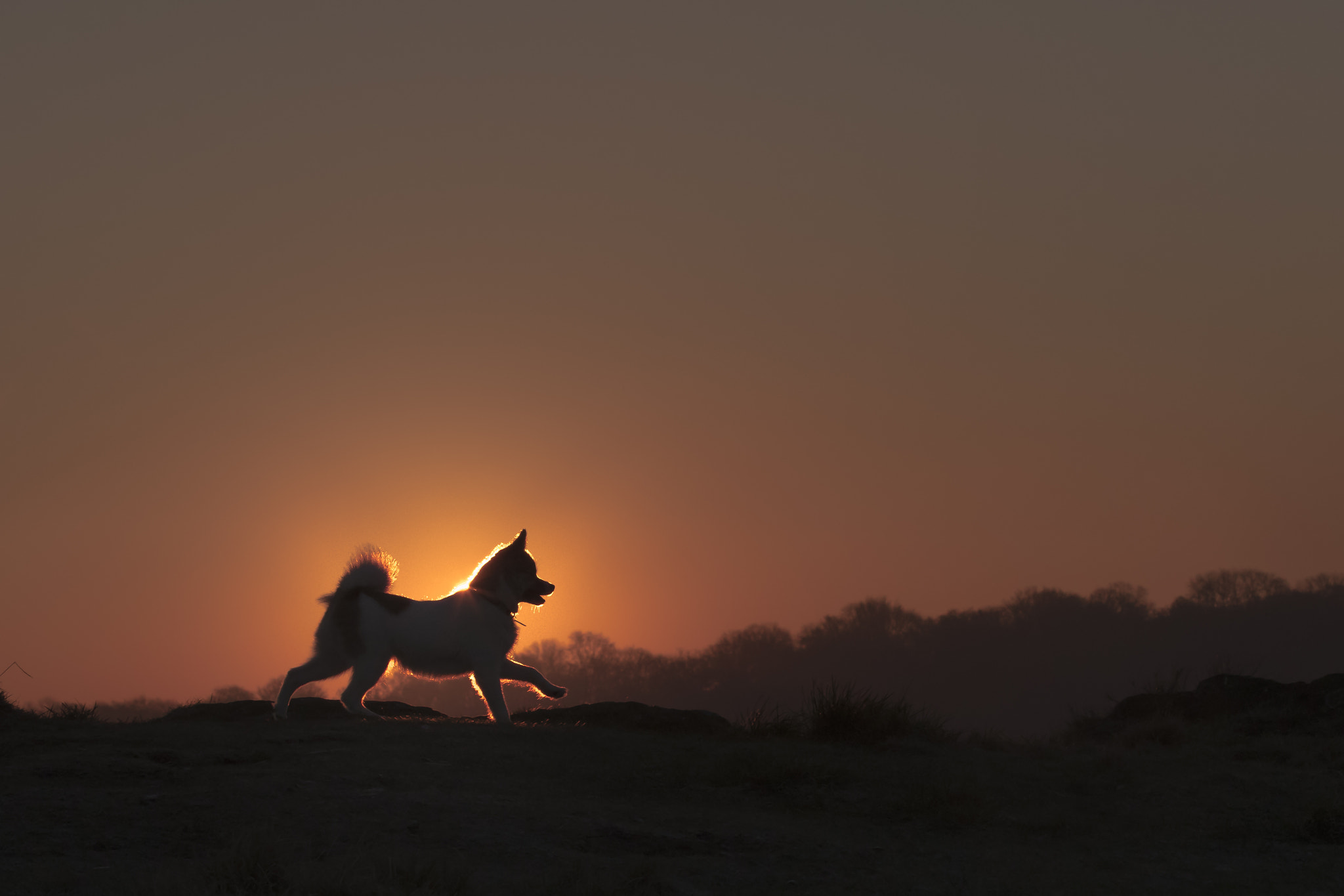 Canon EF 70-200mm F2.8L IS II USM sample photo. Sunrise silhouette photography