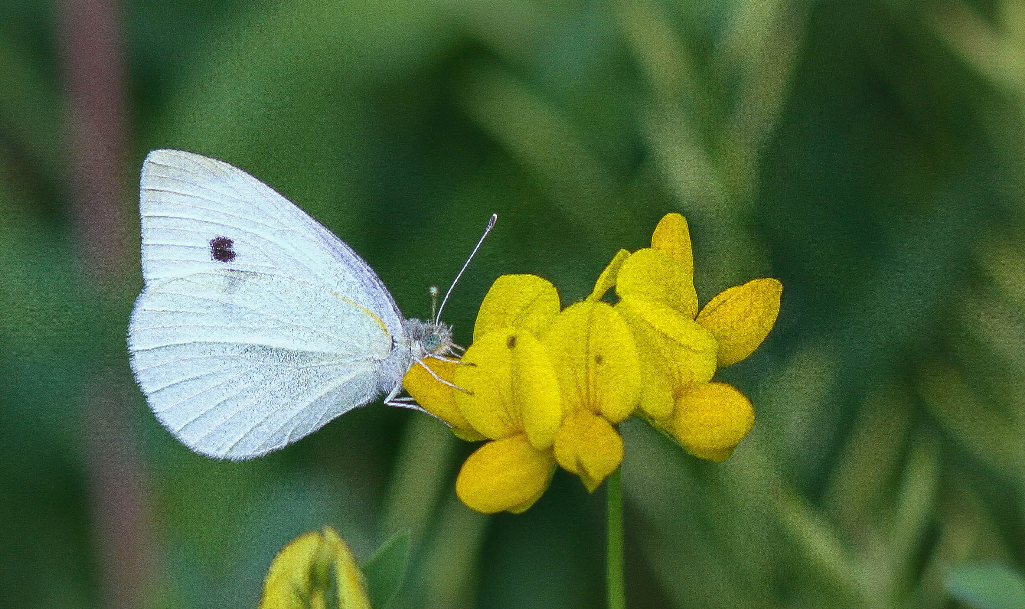 Canon EOS 7D + Canon EF 85mm F1.8 USM sample photo. Holding on photography