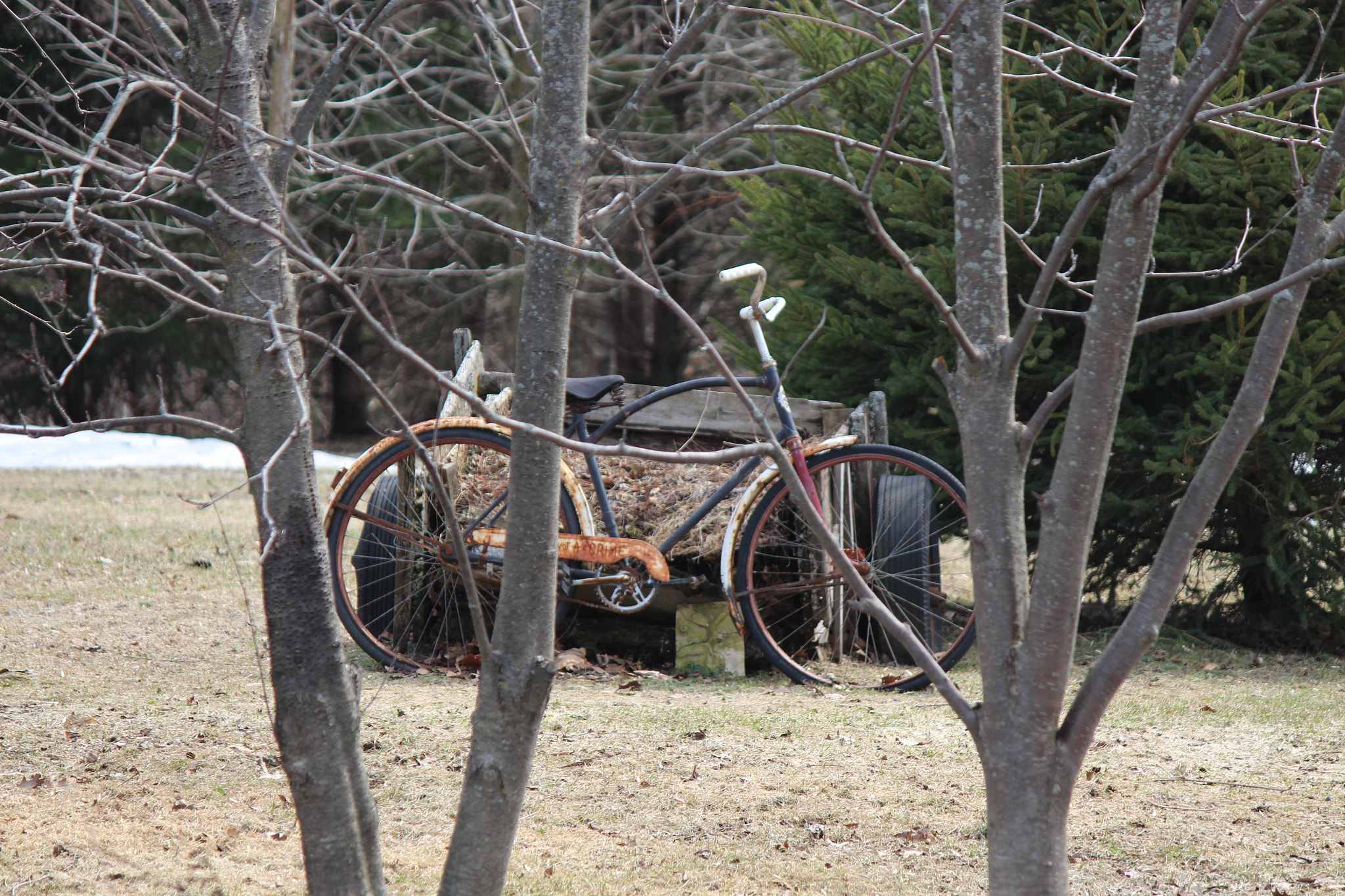 Canon EF-S 55-250mm F4-5.6 IS II sample photo. Img photography
