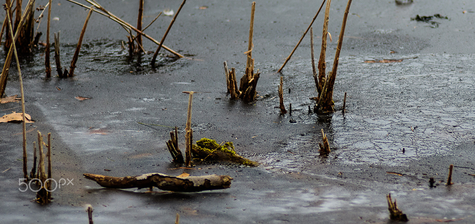 Nikon D810 + Nikon AF-Nikkor 80-200mm F2.8D ED sample photo. Small ice age photography