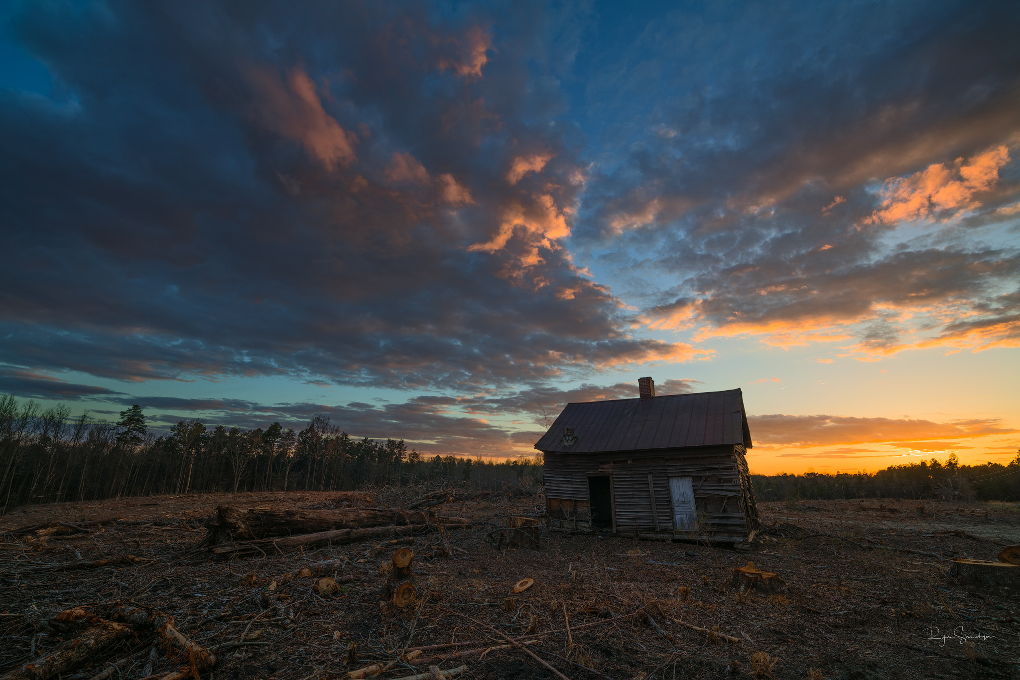 Canon EOS 5DS R sample photo. Cedar skies photography