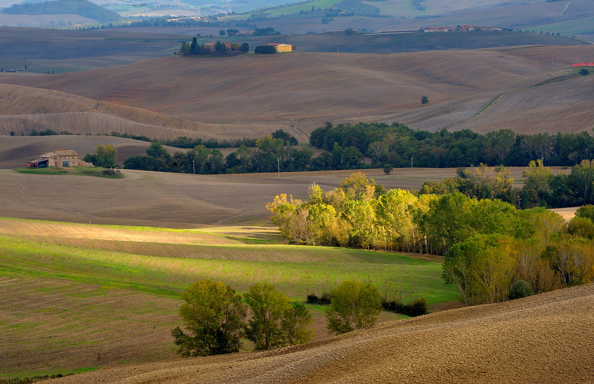 Nikon D700 sample photo. Toscane afternoon photography