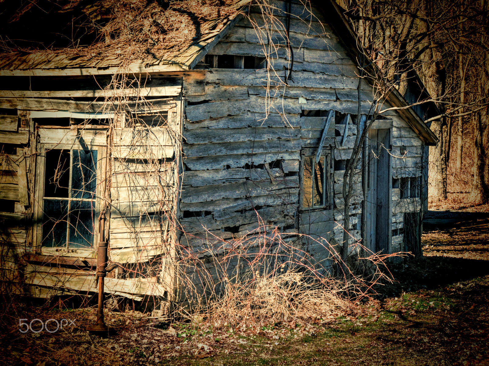 Olympus OM-D E-M5 sample photo. Miller's residence photography