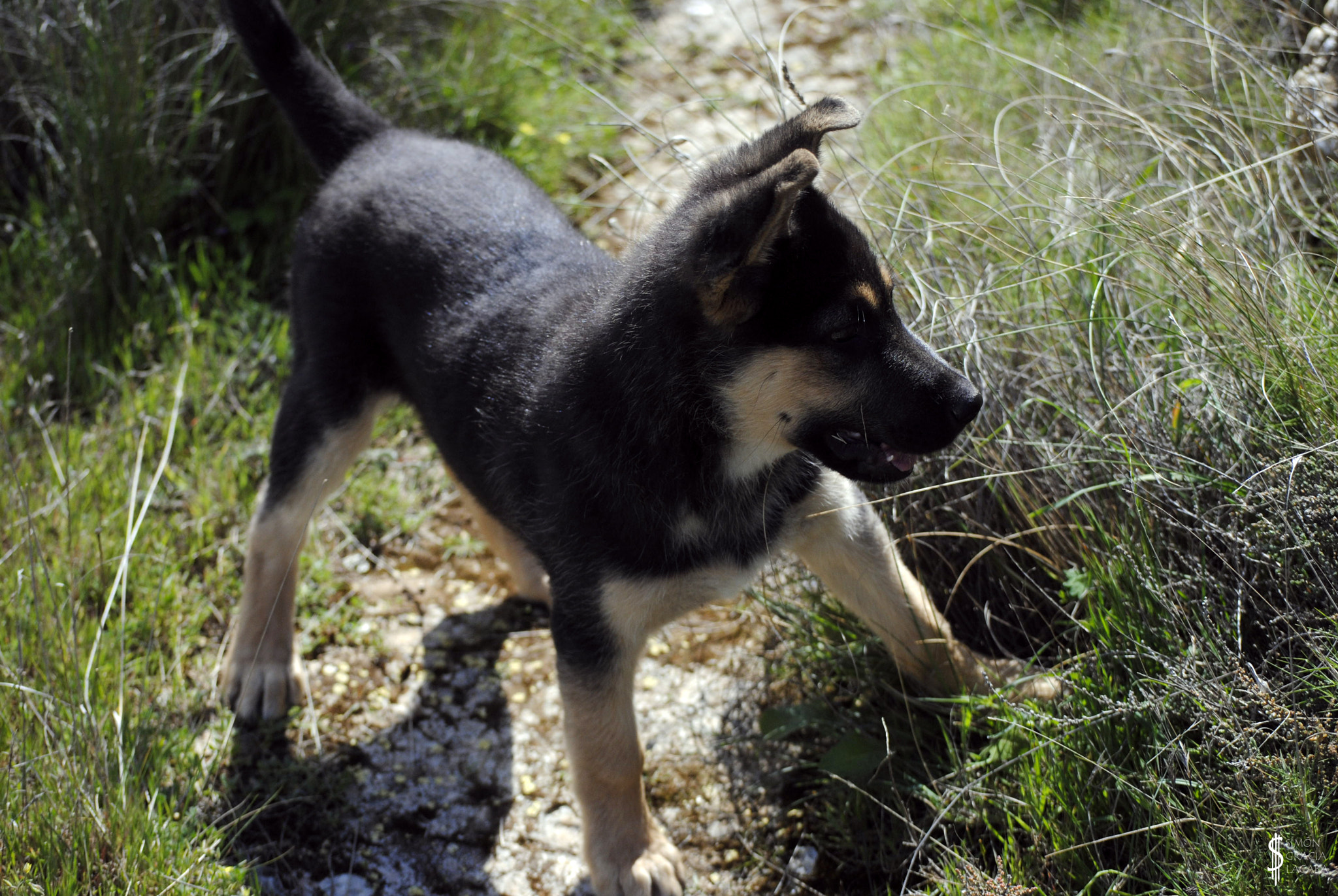 Nikon D3000 sample photo. Exploring the mountain photography