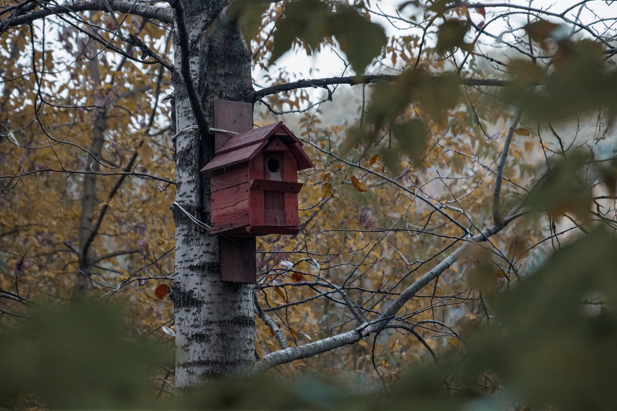 Sony DT 18-135mm F3.5-5.6 SAM sample photo. Dsc photography