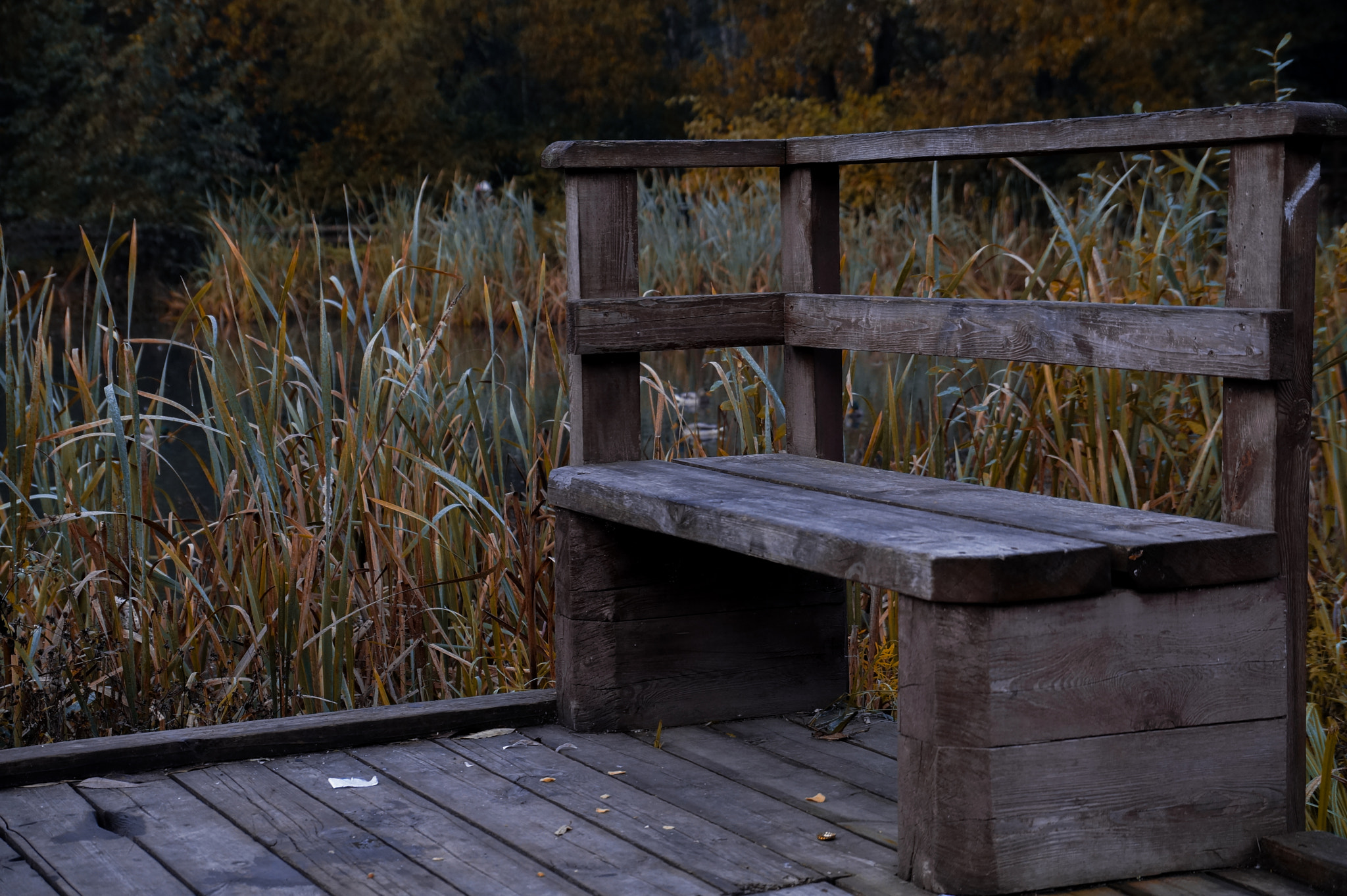 Sony DT 18-135mm F3.5-5.6 SAM sample photo. Dsc photography