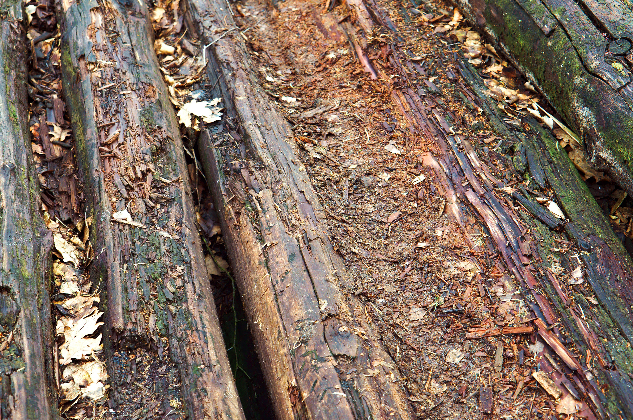 Sony Alpha NEX-3N sample photo. Boards, decayed, old, weak, decrepit, wood, beams, shabby, dilapidated, fragile, unstable photography