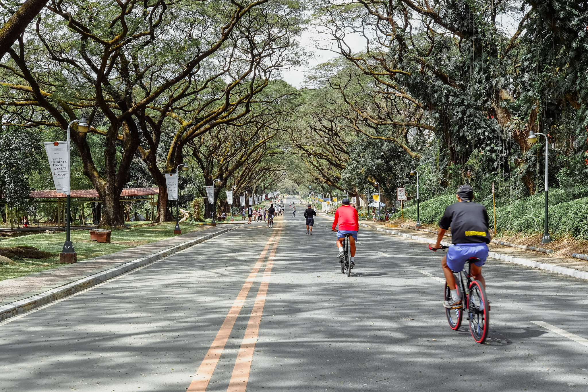 Fujifilm X-T10 + Fujifilm XF 35mm F2 R WR sample photo. Morning ride photography