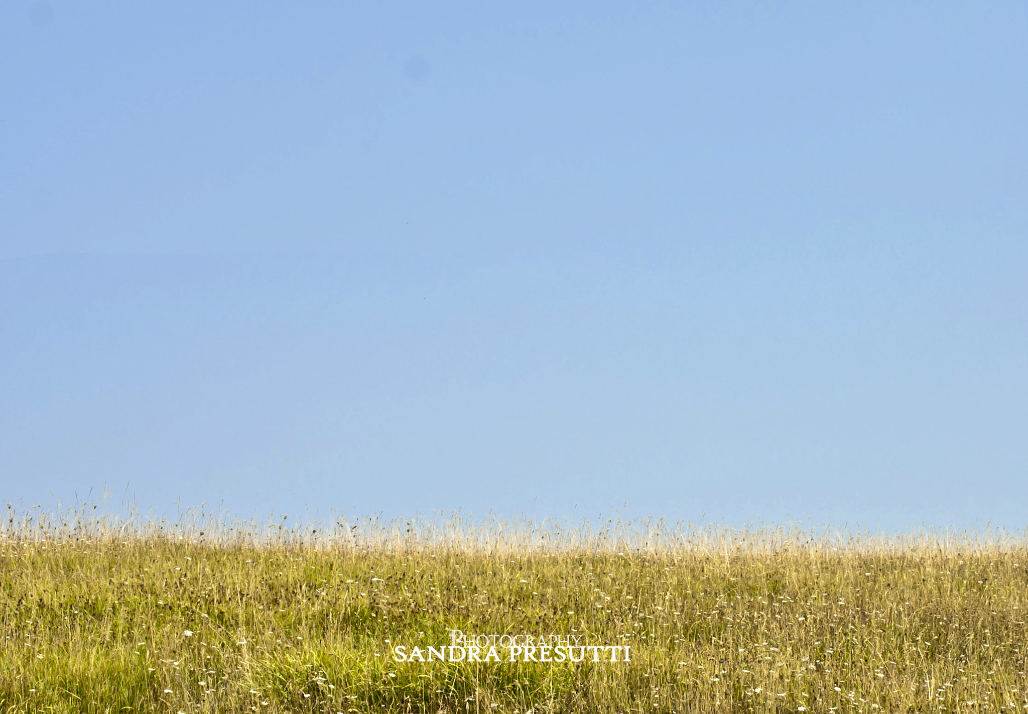 Nikon D80 sample photo. Italian landscape photography