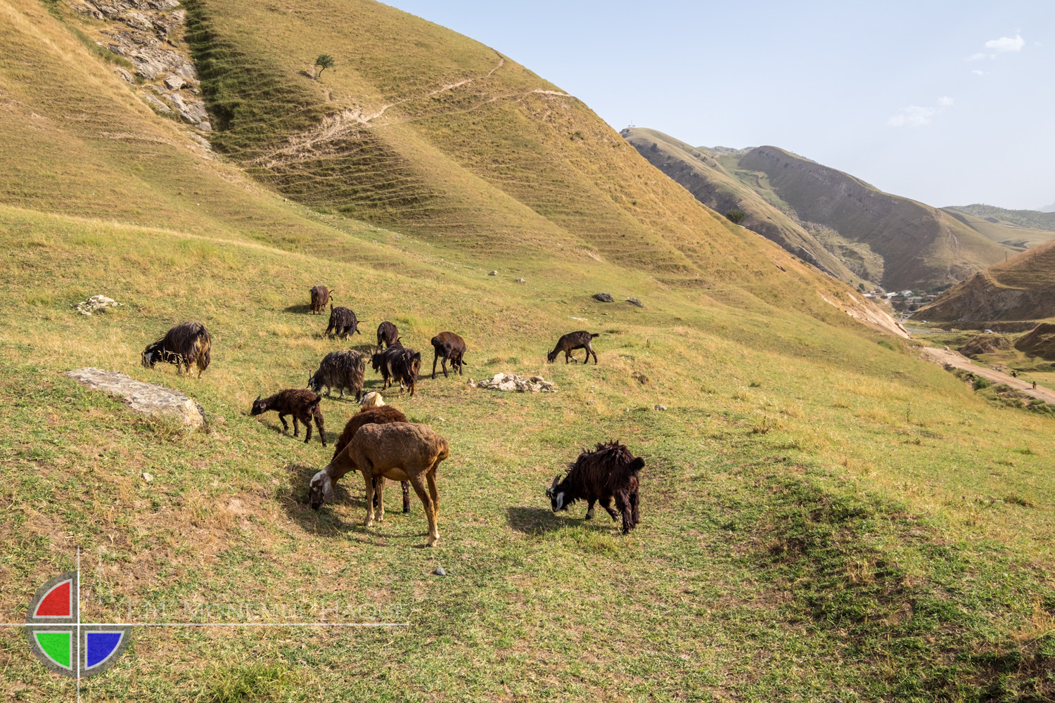 Fujifilm XF 10-24mm F4 R OIS sample photo. Glimpse of tajikistan photography
