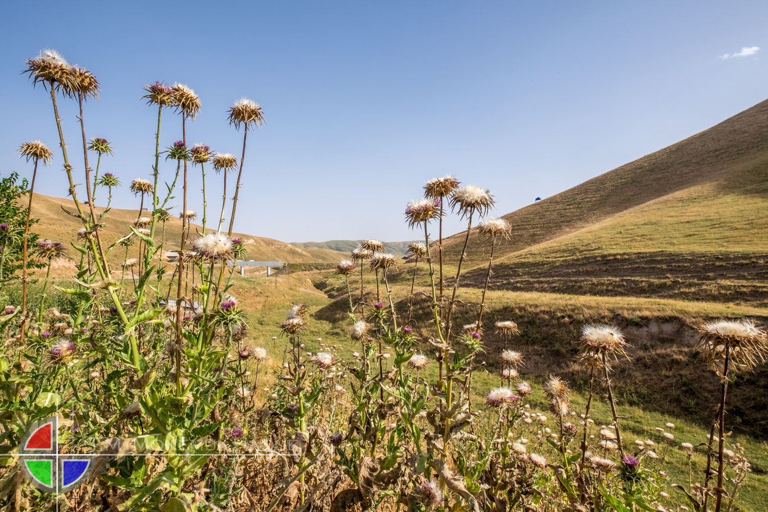 Fujifilm XF 10-24mm F4 R OIS sample photo. Glimpse of tajikistan photography