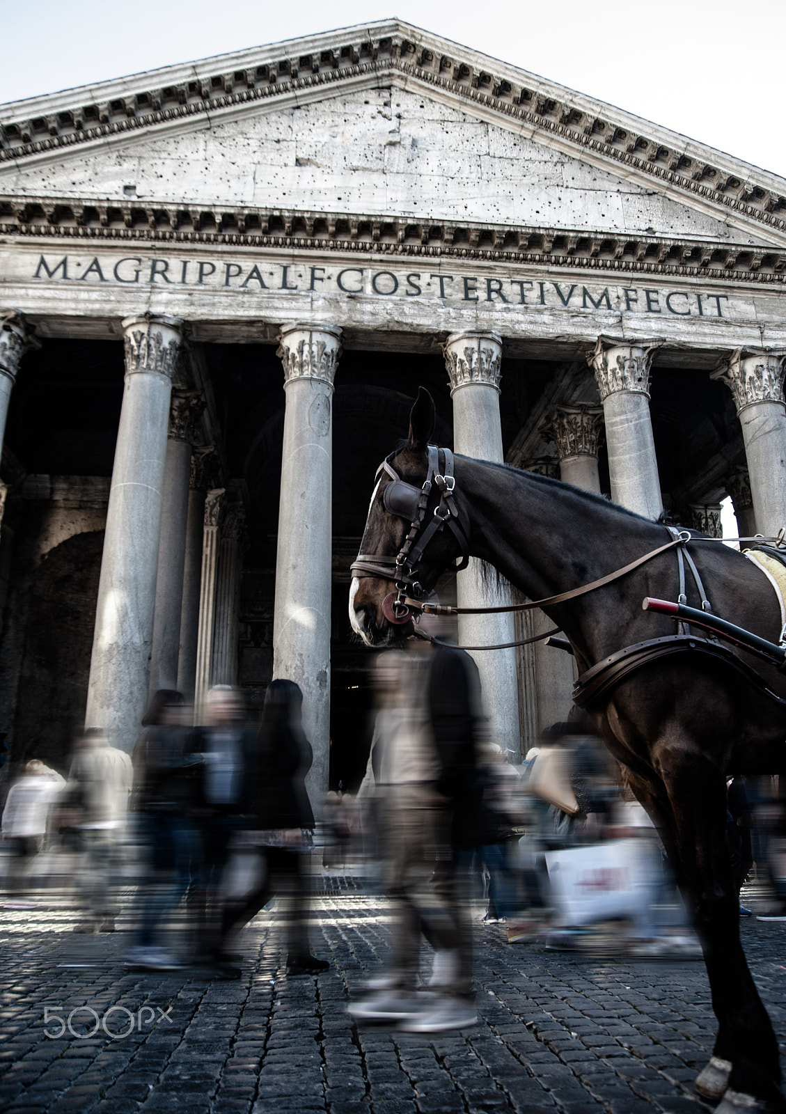 Nikon D700 sample photo. Pantheon, rise of a stallion photography