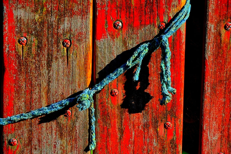 Nikon D7200 sample photo. 30760031936.jpg photography