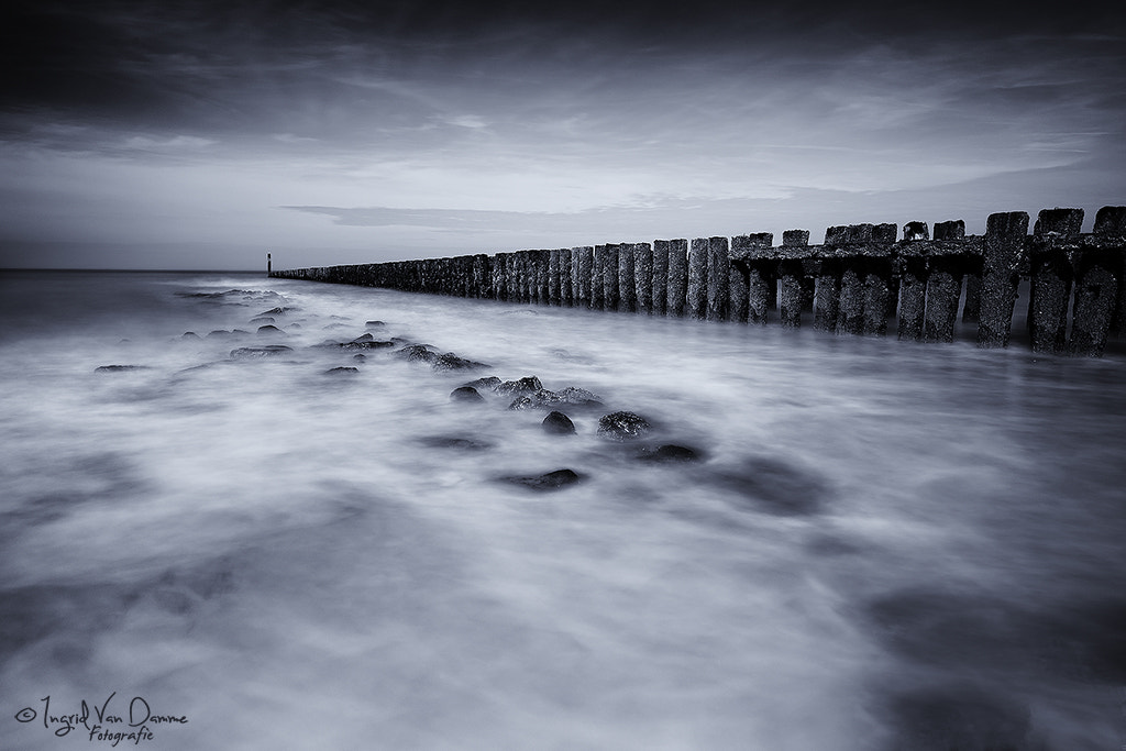Canon EF 16-35mm F4L IS USM sample photo. Zeeland photography