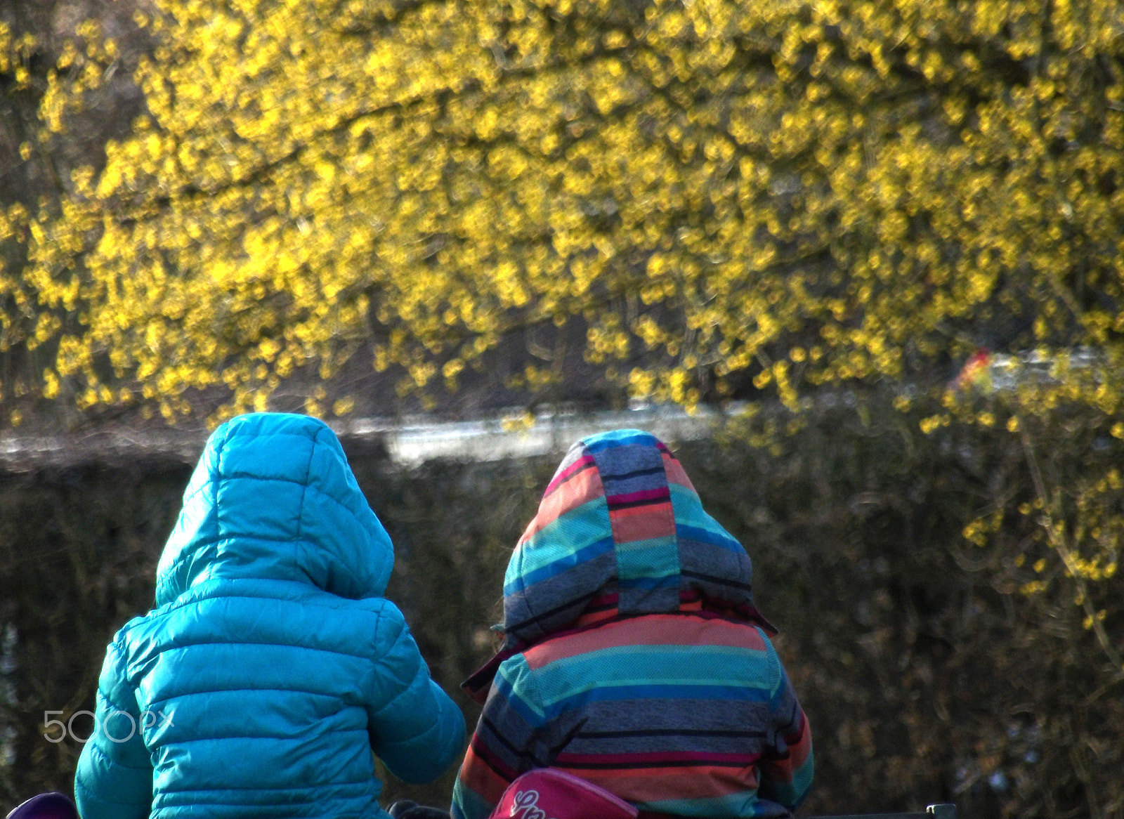 Ricoh PENTAX XG-1 sample photo. Friends photography