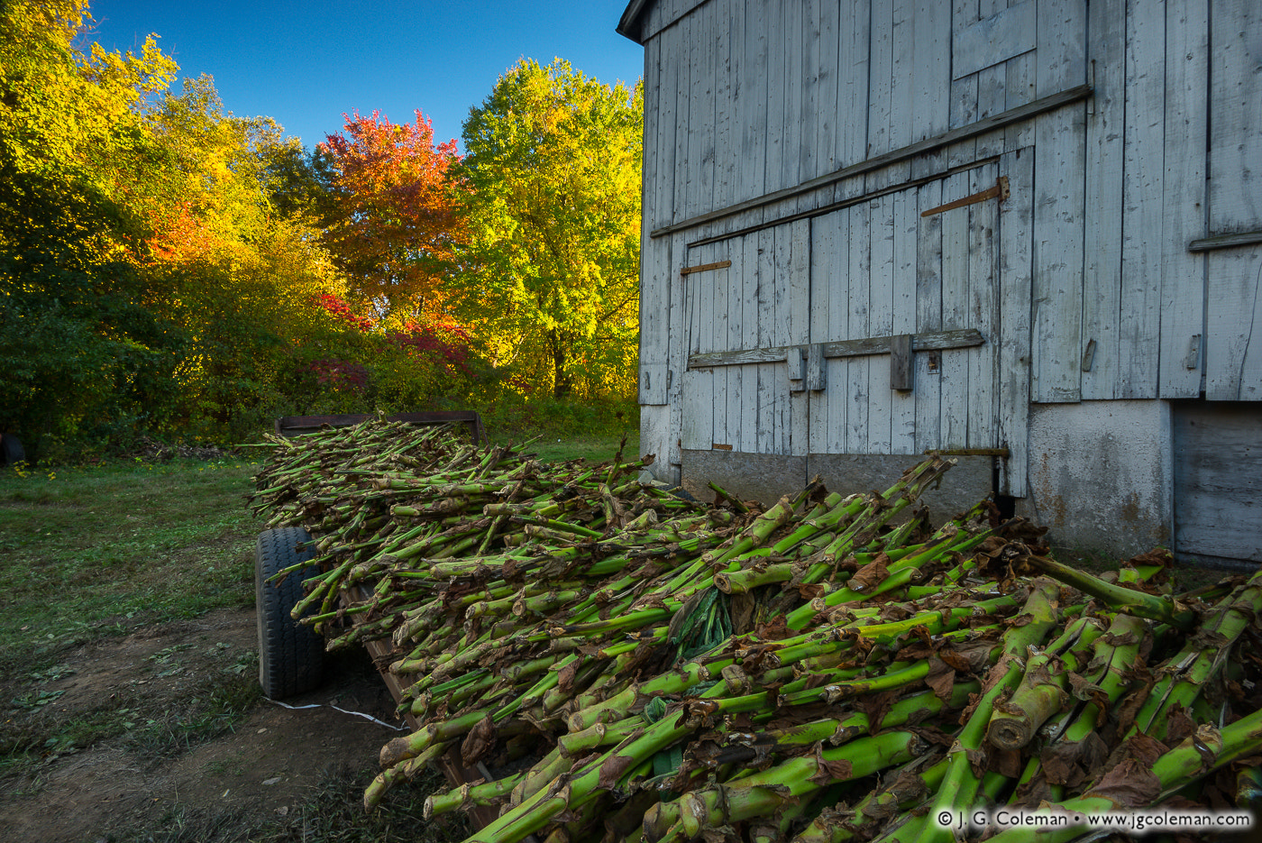 Nikon D610 sample photo. Yankee farmlands № 87 photography