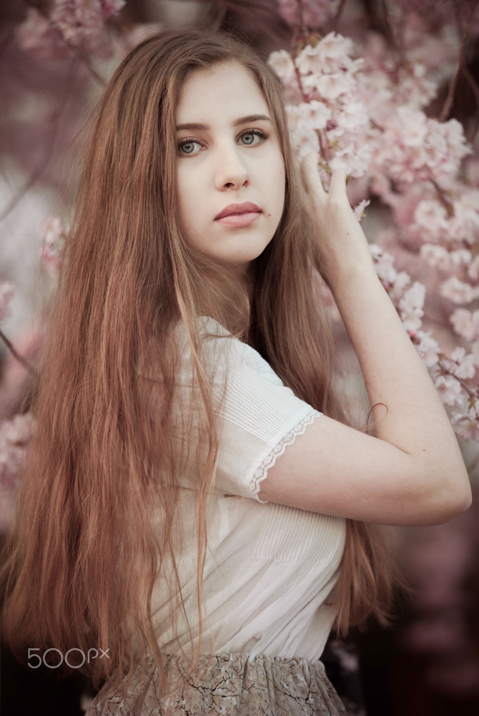 Canon EF 70-200mm F2.8L IS II USM sample photo. Sakura flowering photography