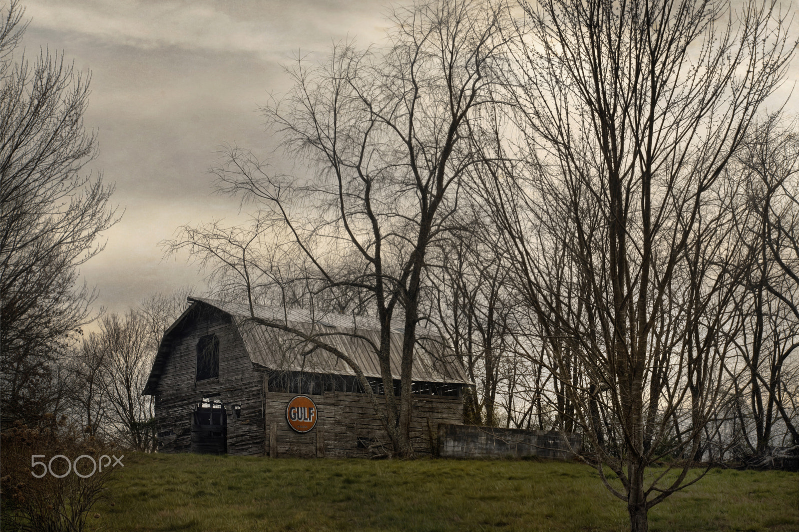 Nikon D7100 + Nikon AF-S DX Nikkor 18-135mm F3.5-5.6G ED-IF sample photo. Gray day in shootin' creek photography