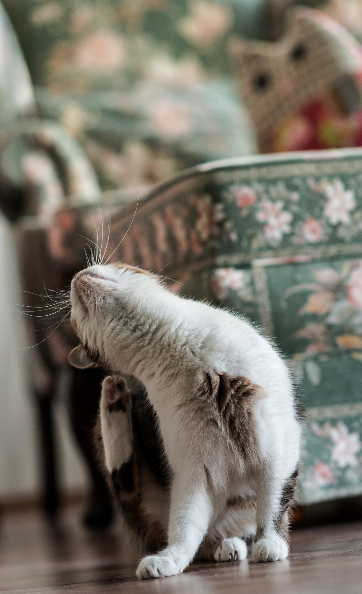 Nikon D800 sample photo. Yoga at home ;-) photography