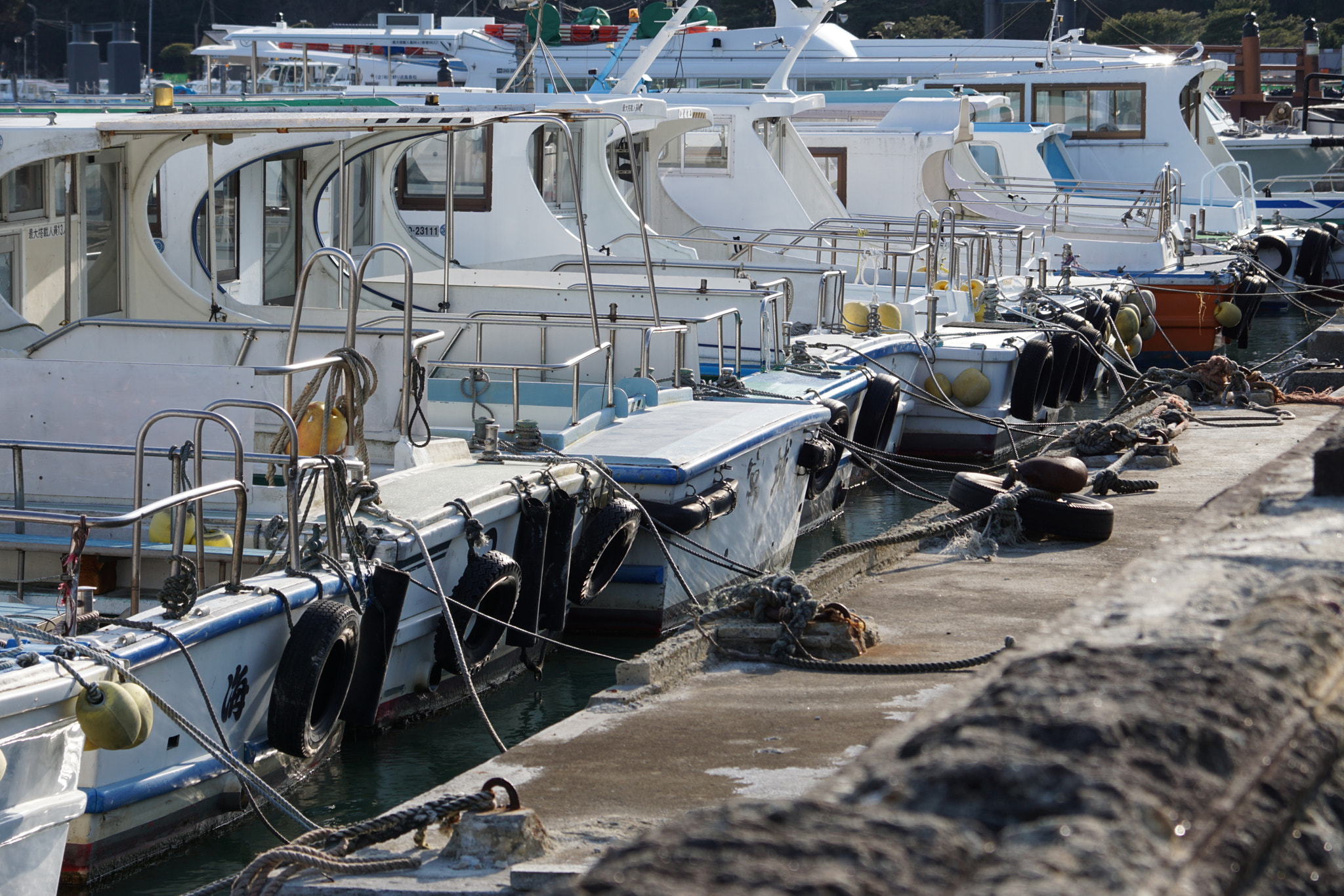Sony ILCA-77M2 sample photo. Harbor photography