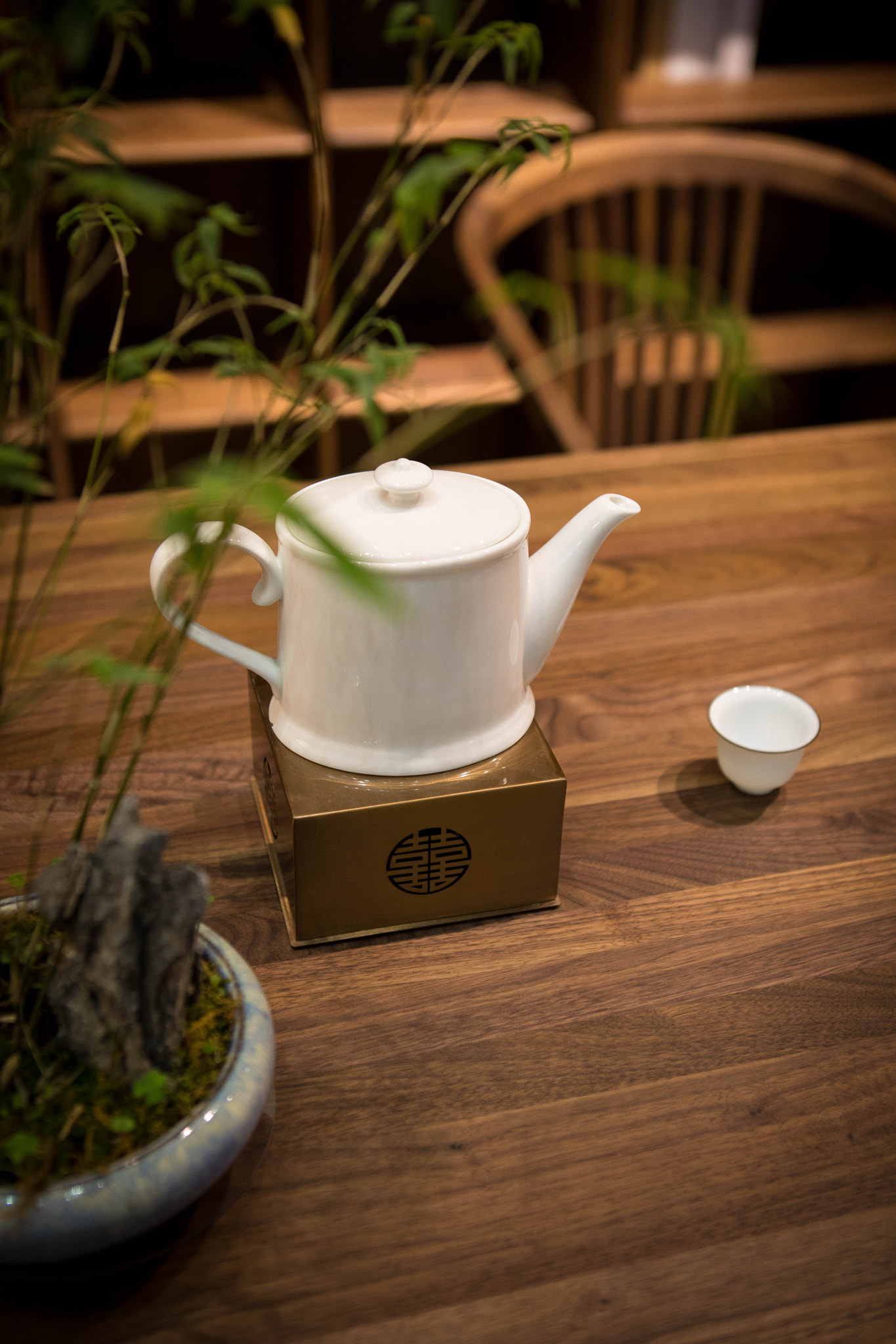 Canon EF 24-70mm F2.8L USM sample photo