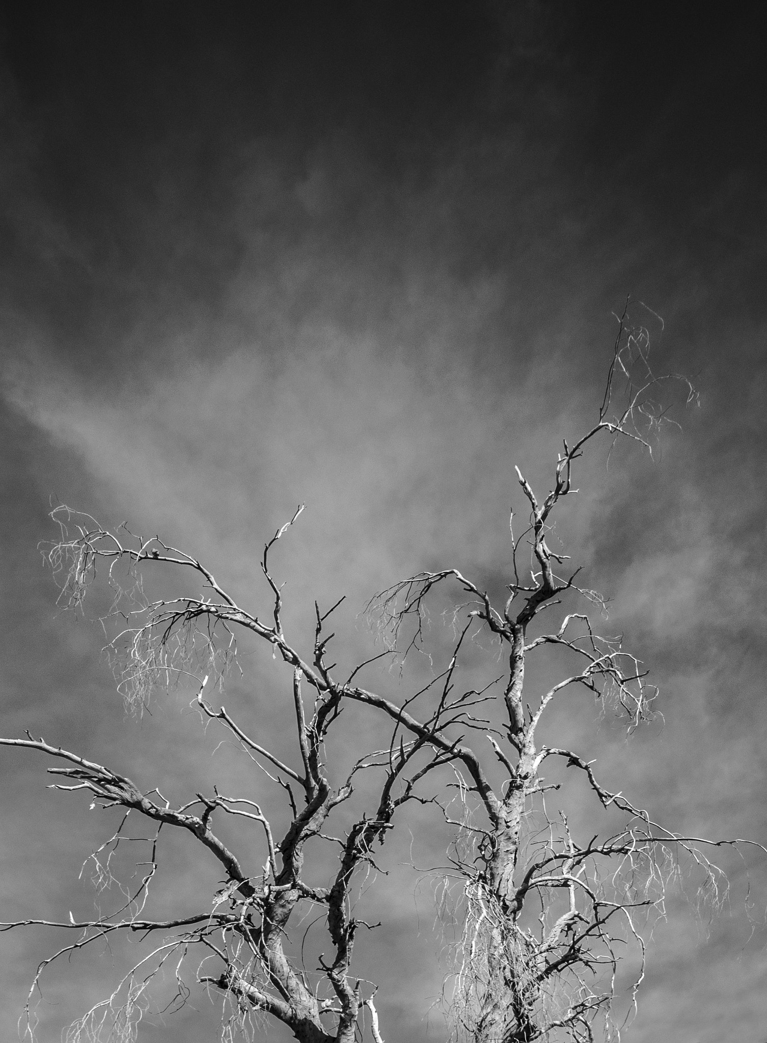 Sigma AF 10-20mm F4-5.6 EX DC sample photo. Arms photography