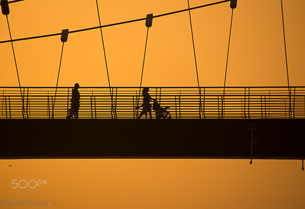 Sigma 18-250mm F3.5-6.3 DC OS HSM sample photo. The passing  shadows.... photography