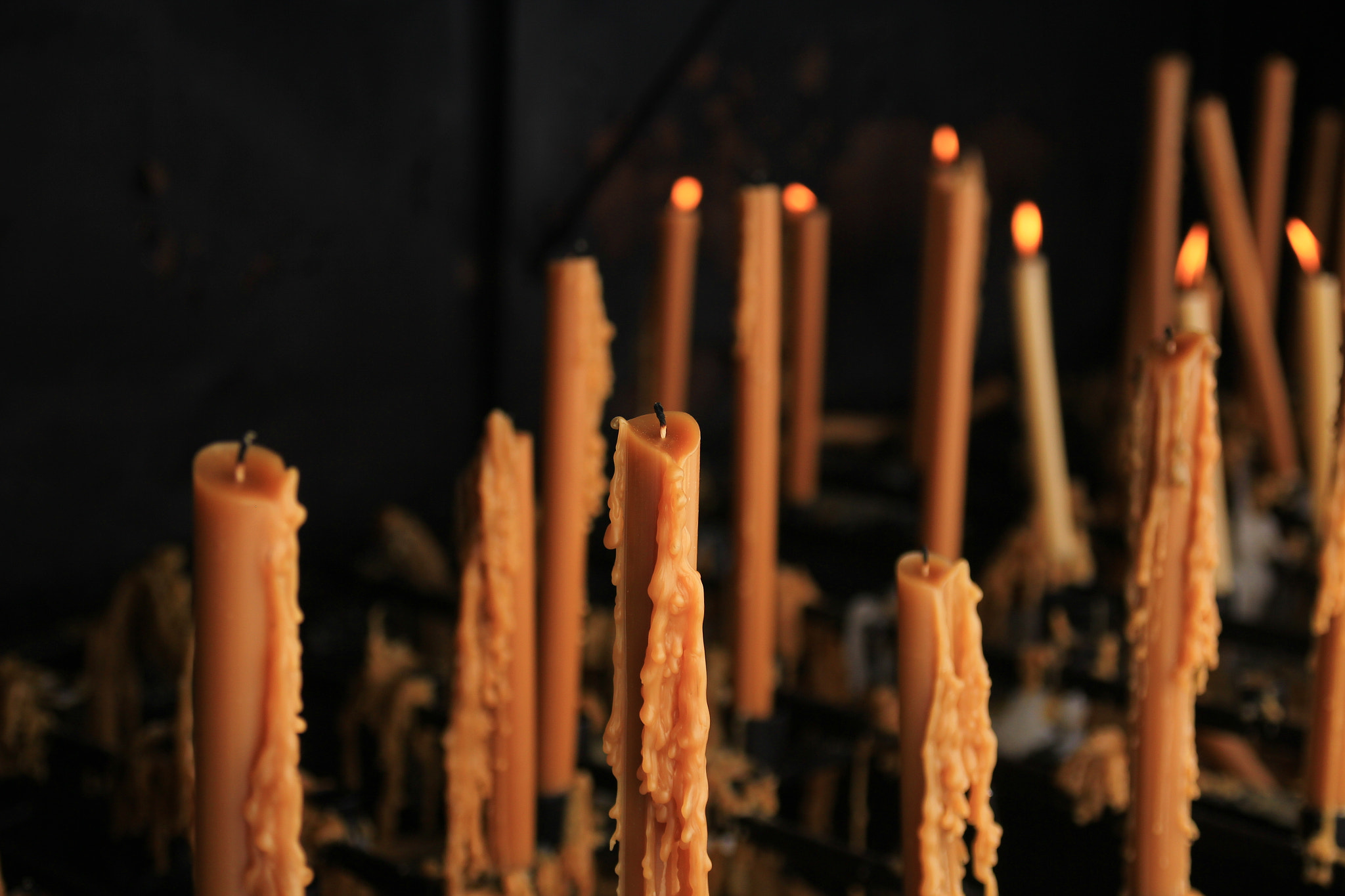 Canon EOS 60D sample photo. Faith photography